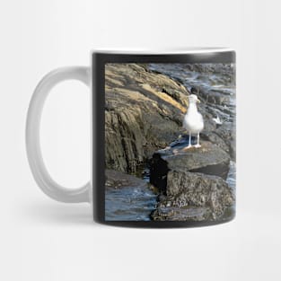 Seagull On A Rock Mug